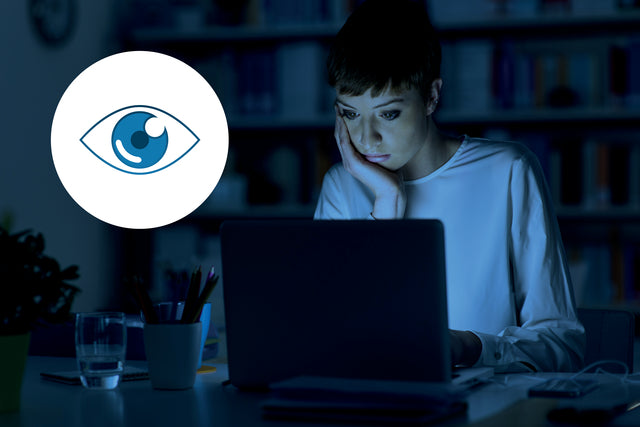 Privacyfilter Kensington 13.3 inch 16:9